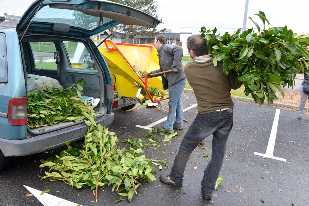 Déchets verts