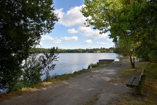 Lac de Beaulieu sentier rive ouest (Le Champ Failli)