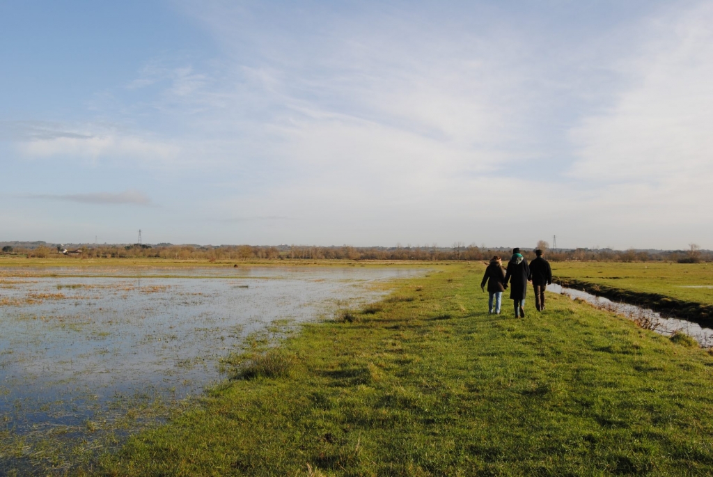 Marais Couëron