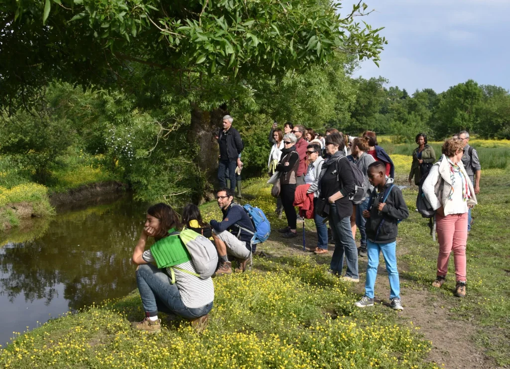 Circuit de randonnée