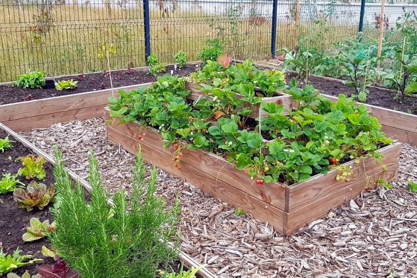 Broyat pour allées de jardin