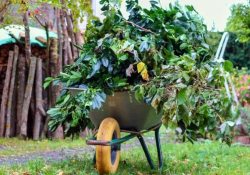 Pensez à stocker vos résidus d’élagages et vos déchets verts afin de pouvoir repartir avec le broyat, utile pour votre jardin, en paillage ou pour le compost.