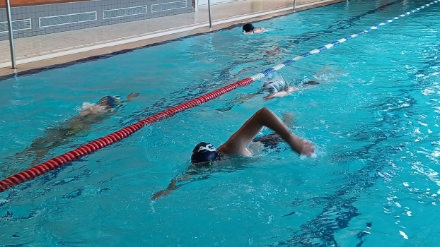 Nageurs dans le grand bassin de la piscine Baptiste-Lefèvre